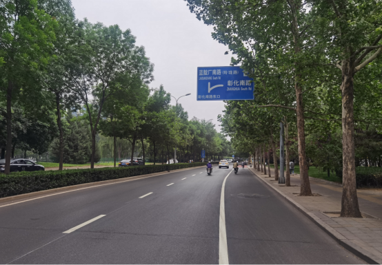 交管部门开展全市路树遮挡交通设施治理工作642