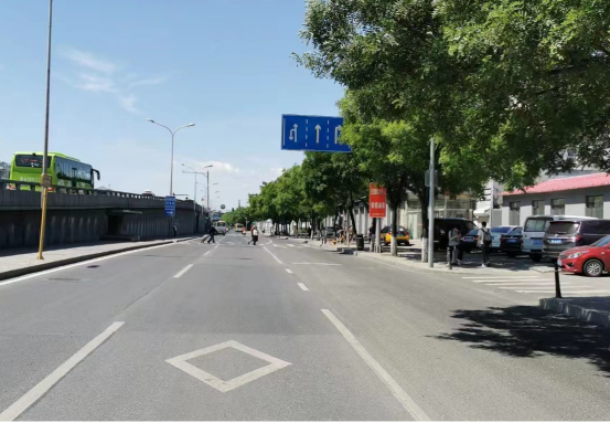 交管部门开展全市路树遮挡交通设施治理工作685