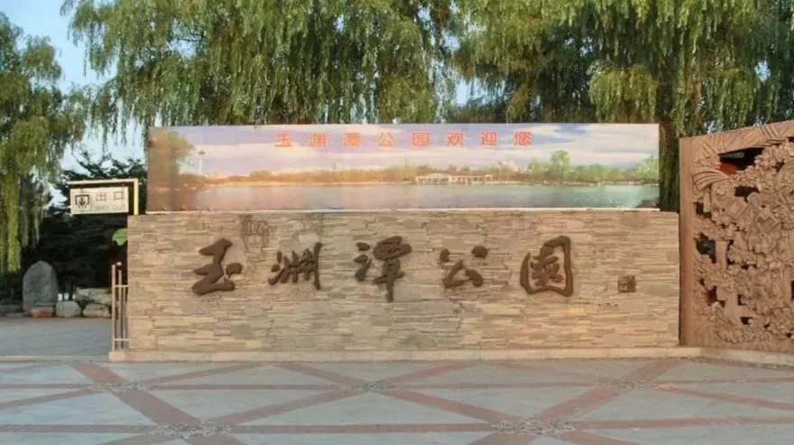 秩序连连看丨交管部门多措并举有效改善公园景区周边交通秩序环境1499