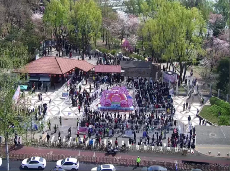 秩序连连看丨交管部门多措并举有效改善公园景区周边交通秩序环境1834