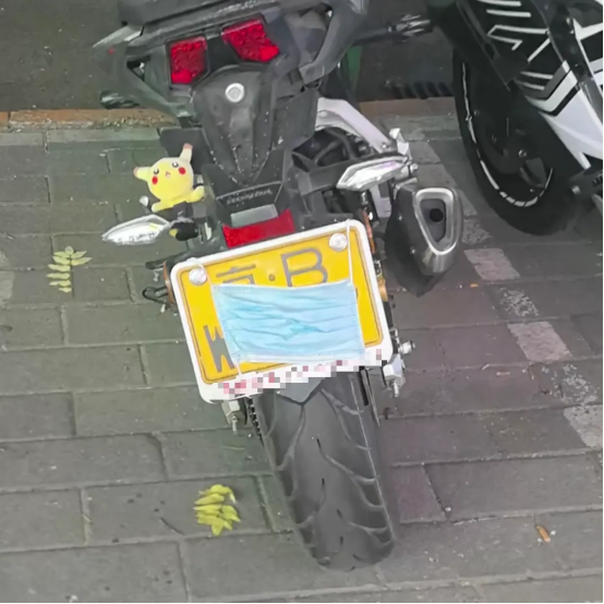 您举报 我处理丨您随手拍举报的交通违法已查处233 您举报 我处理丨您随手拍举报的交通违法已查处233